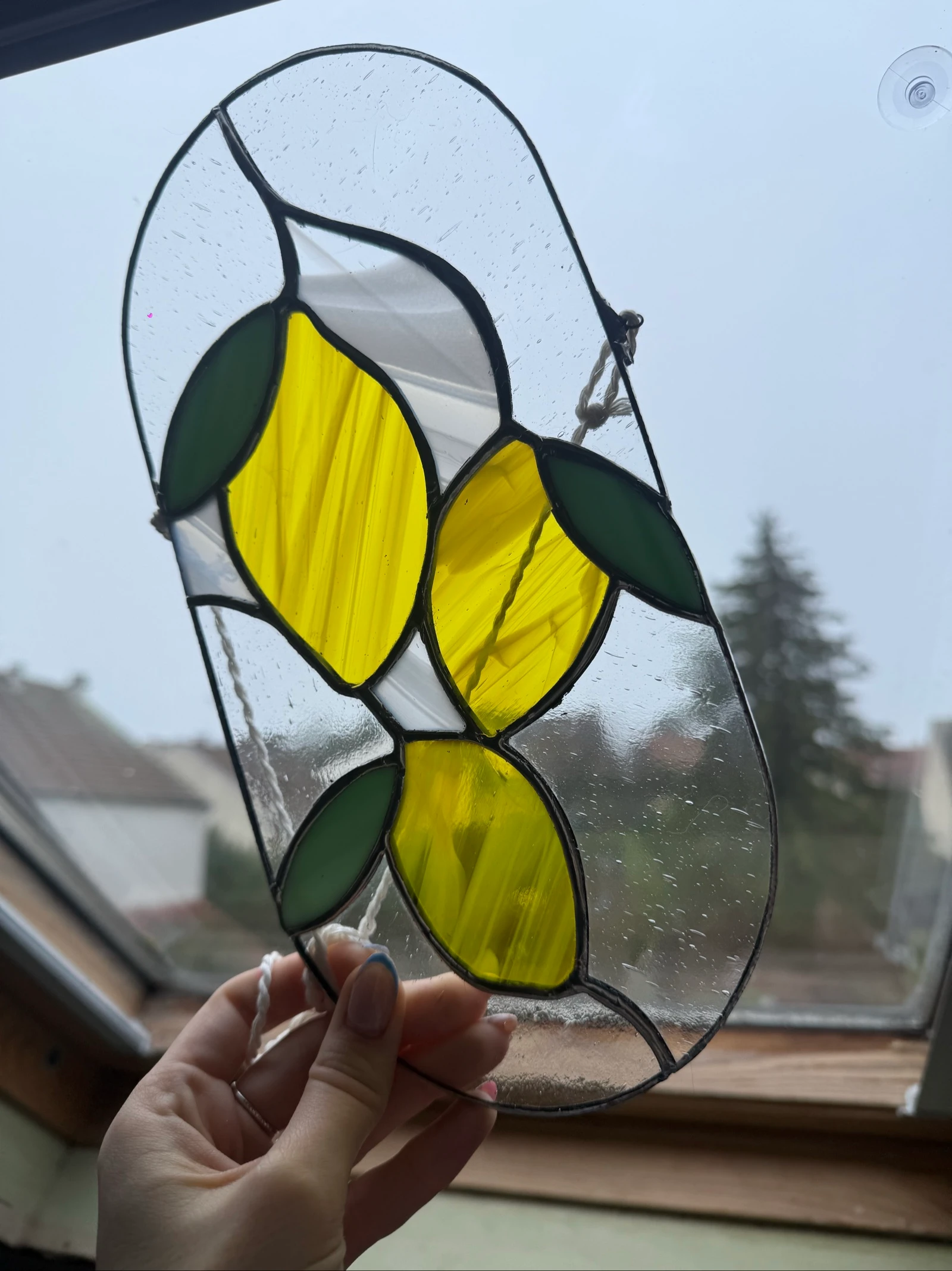 Lemons – photo 2